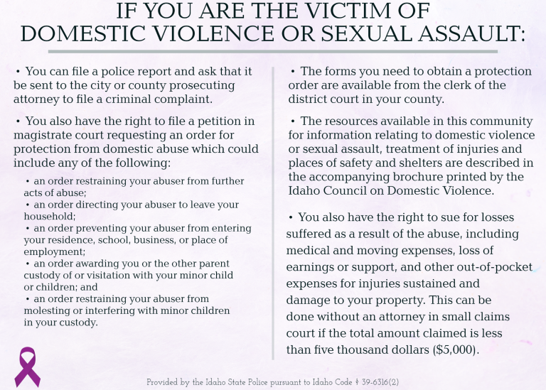 Domestic Violence assault information flier