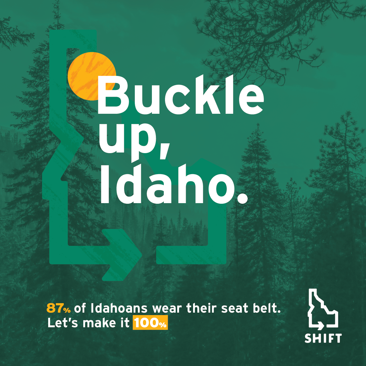 Seat Belt graphic