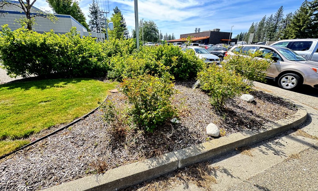ISP Corporal Linda Huff Memorial Garden before revitalization.